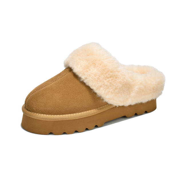 Snowy - Chestnut-OLD