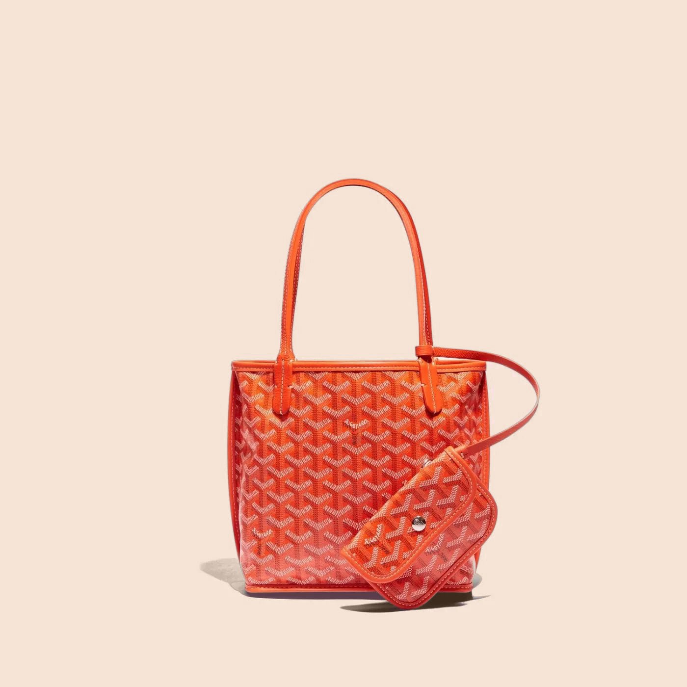 Veyra Reversible Mini Tote
