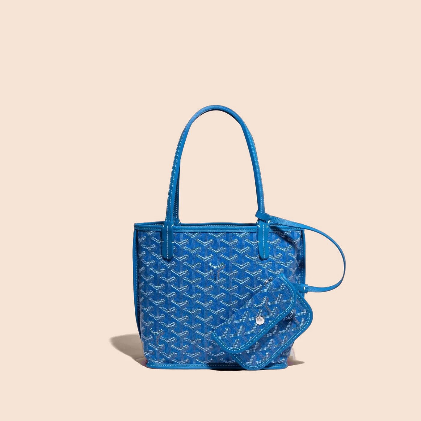 Veyra Reversible Mini Tote