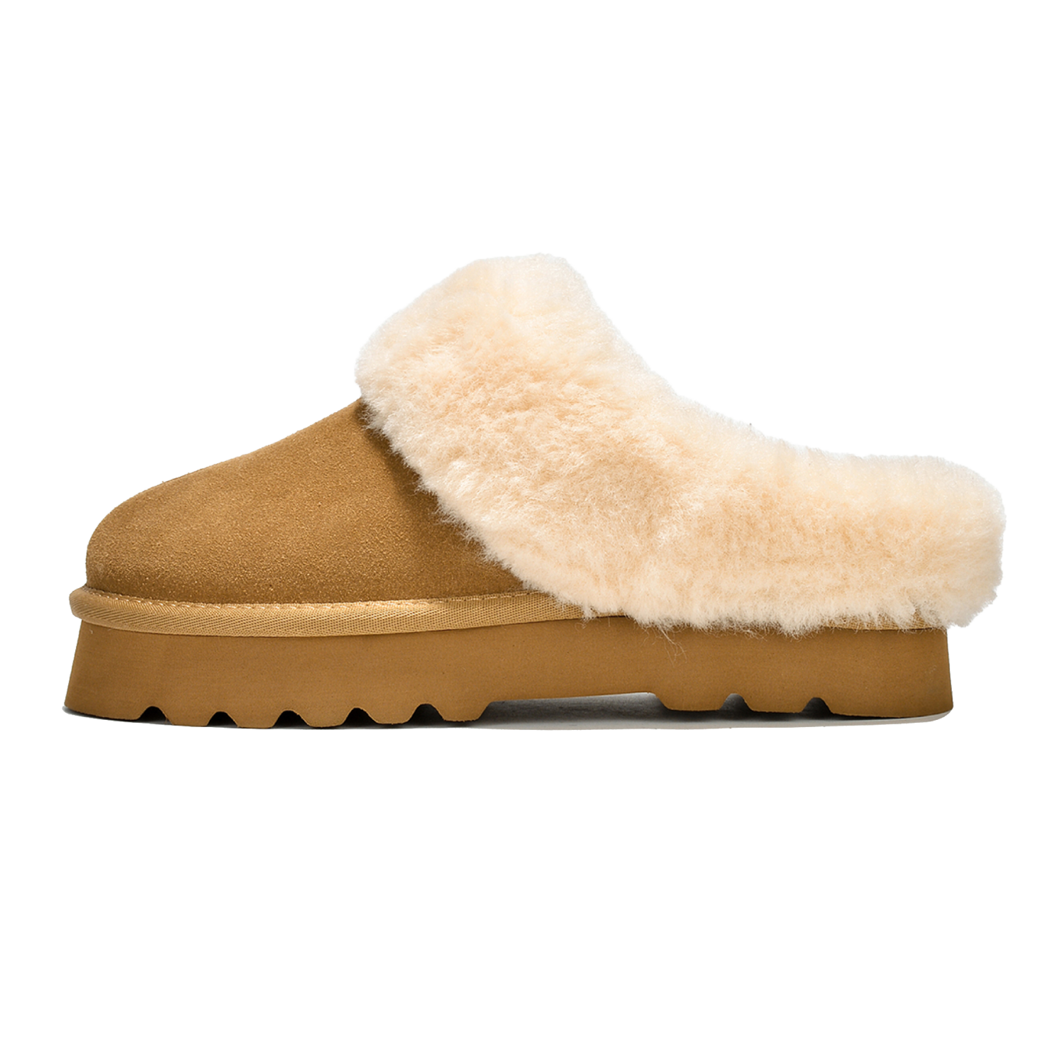 Snowy - Chestnut-OLD